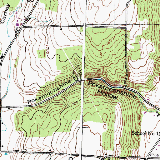 Topographic Map of Pokamoonshine Hollow, NY