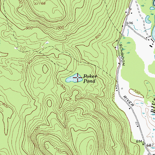 Topographic Map of Poker Pond, NY