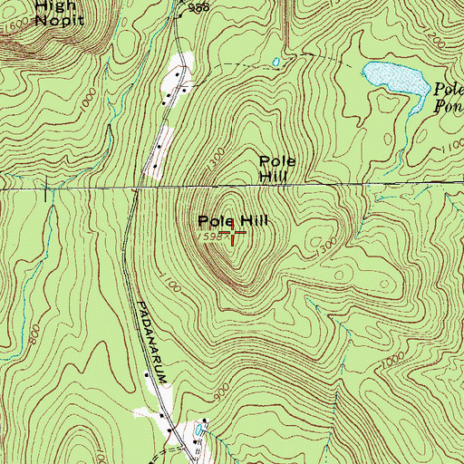 Topographic Map of Pole Hill, NY
