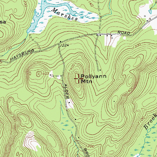 Topographic Map of Pollyann Mountain, NY