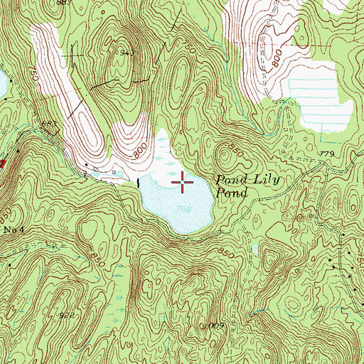 Topographic Map of Pond Lily Pond, NY