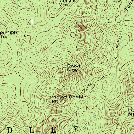 Topographic Map of Pond Mountain, NY