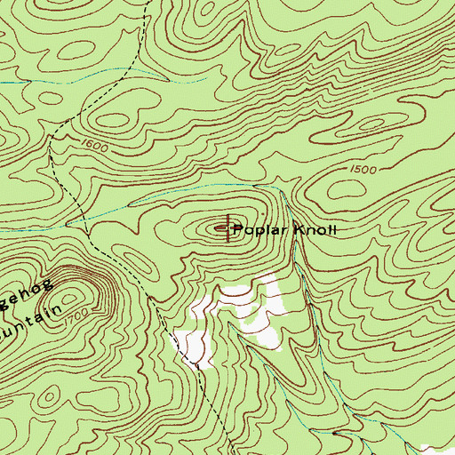 Topographic Map of Poplar Knoll, NY
