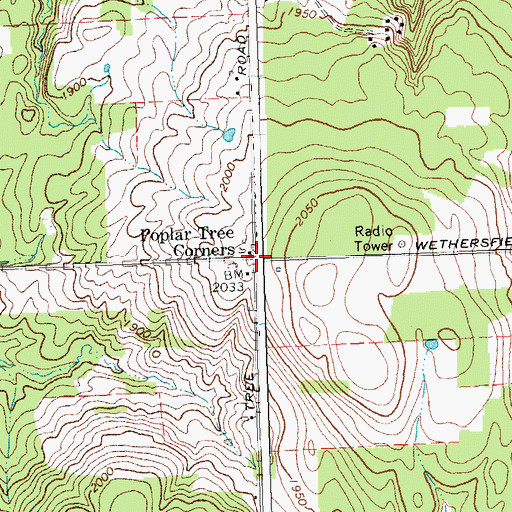 Topographic Map of Poplar Tree Corners, NY