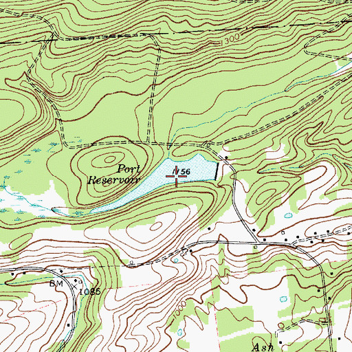 Topographic Map of Port Reservoir, NY