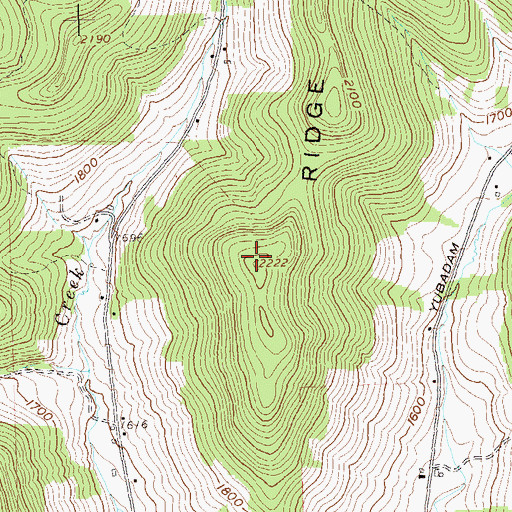 Topographic Map of Portville Ridge, NY