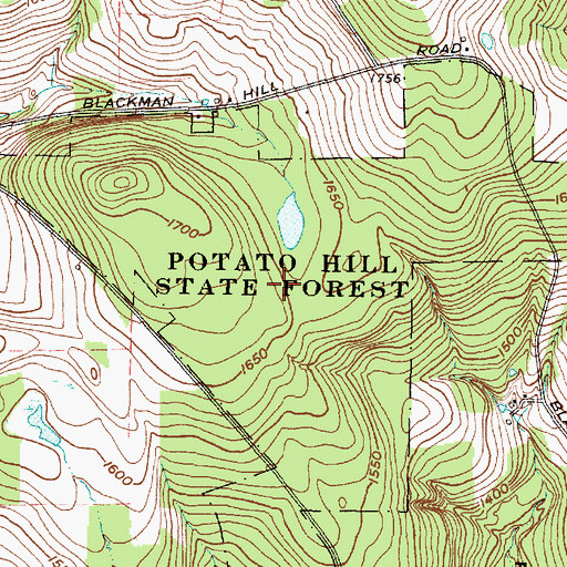 Topographic Map of Potato Hill State Forest, NY