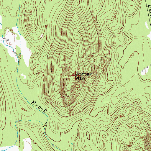 Topographic Map of Potter Mountain, NY