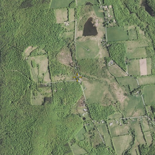 Aerial/Satellite Image of Potter School (historical), NY