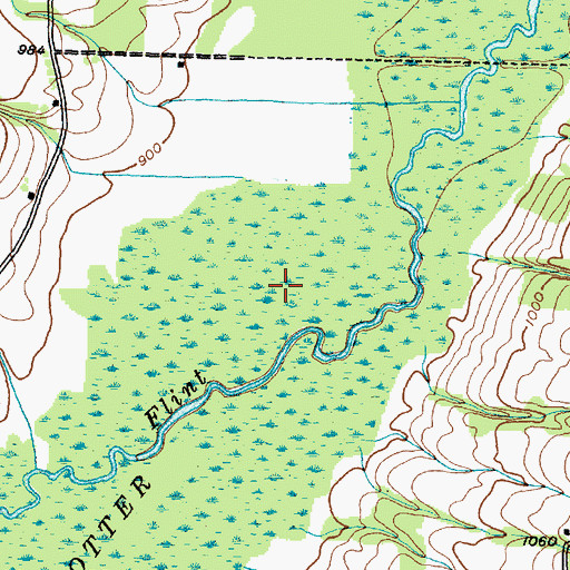 Topographic Map of Potter Swamp, NY