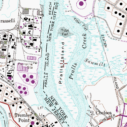 Topographic Map of Pralls Island, NY