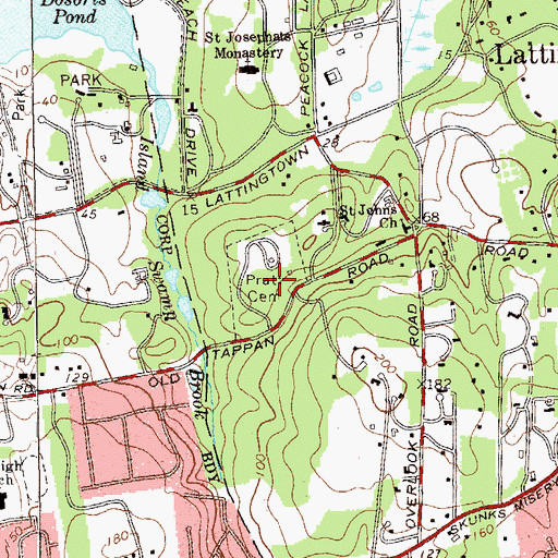 Topographic Map of Pratt Cemetery, NY