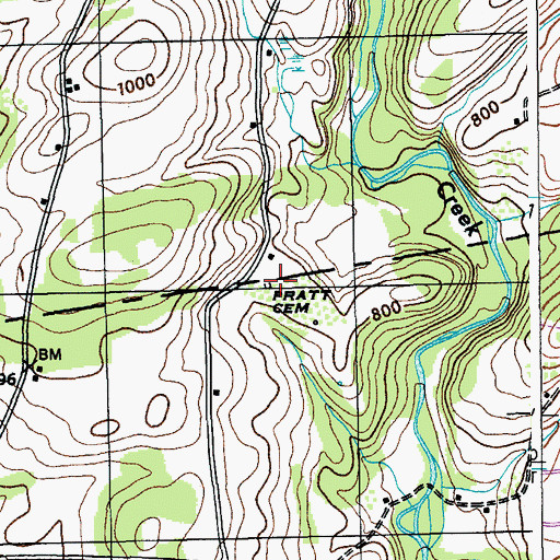 Topographic Map of Pratt Cemetery, NY