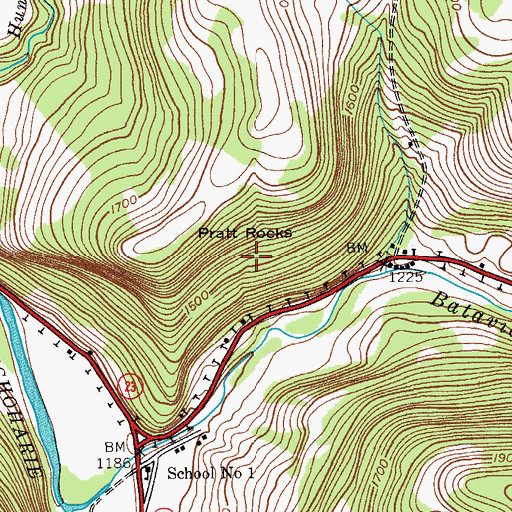 Topographic Map of Pratt Rocks, NY