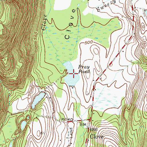 Topographic Map of Pray Pond, NY