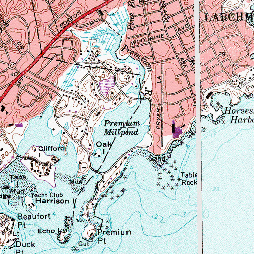 Topographic Map of Premium Millpond, NY