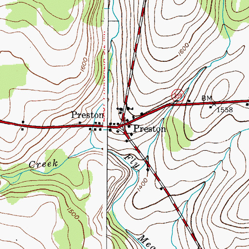 Topographic Map of Preston, NY