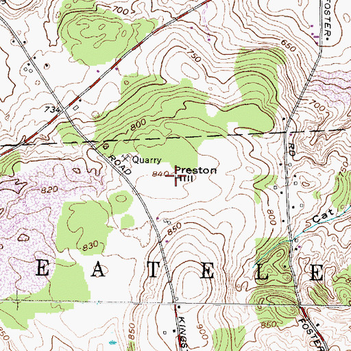 Topographic Map of Preston Hill, NY