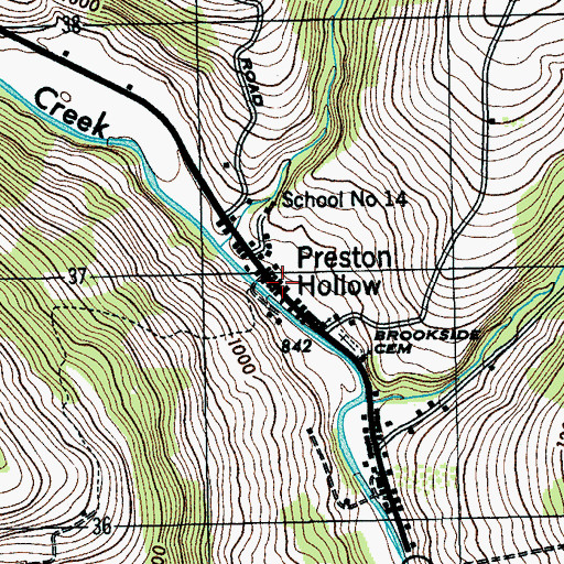 Topographic Map of Preston Hollow, NY
