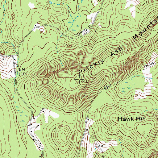 Topographic Map of Prickly Ash Mountain, NY