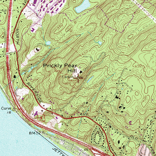 Topographic Map of Prickly Pear Hill, NY