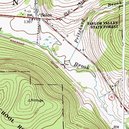 Topographic Map of Pritchard Brook, NY