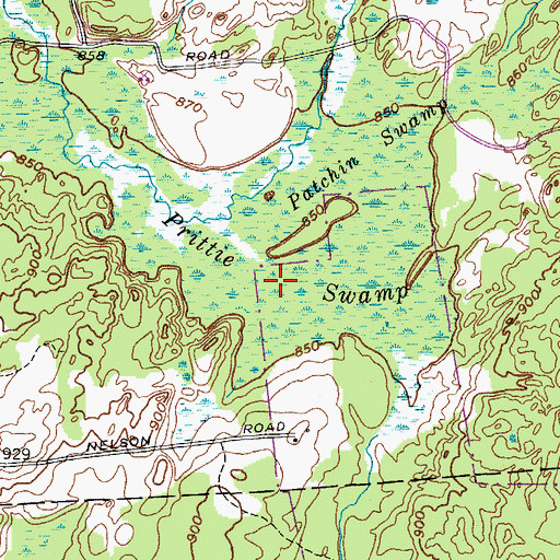 Topographic Map of Prittie Swamp, NY