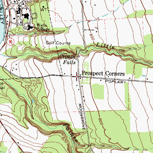 Topographic Map of Prospect Corners, NY