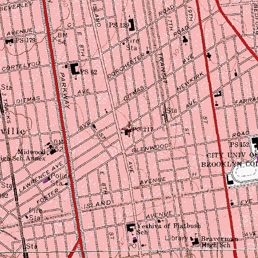 Topographic Map of Public School 217, NY