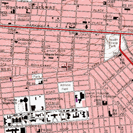 Topographic Map of Public School 221, NY