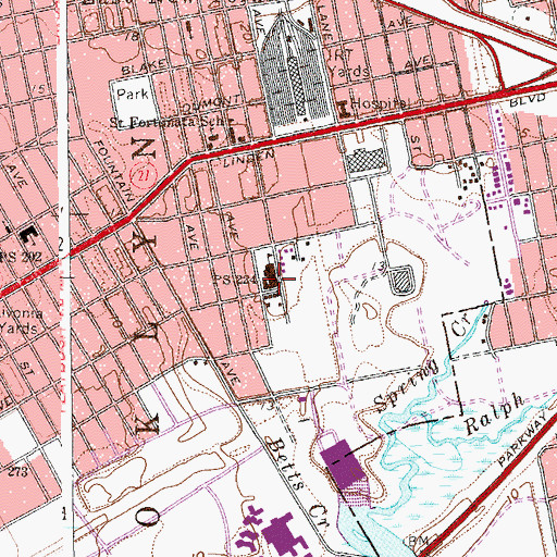 Topographic Map of Public School K224 Hale A Woodruff, NY