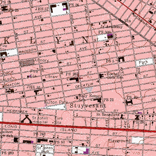 Topographic Map of Public School 262, NY