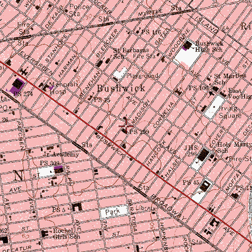 Topographic Map of Public School 299, NY