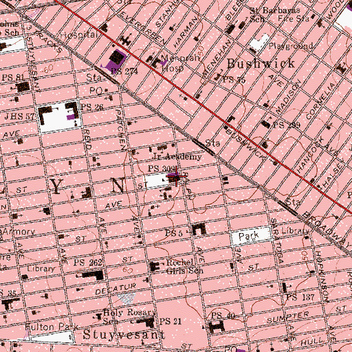 Topographic Map of Public School 309, NY