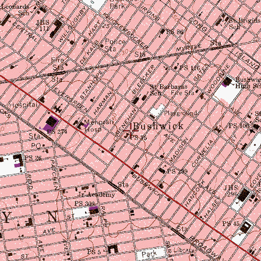 Topographic Map of Public School 75, NY