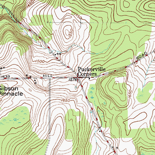 Topographic Map of Puckerville Corners, NY