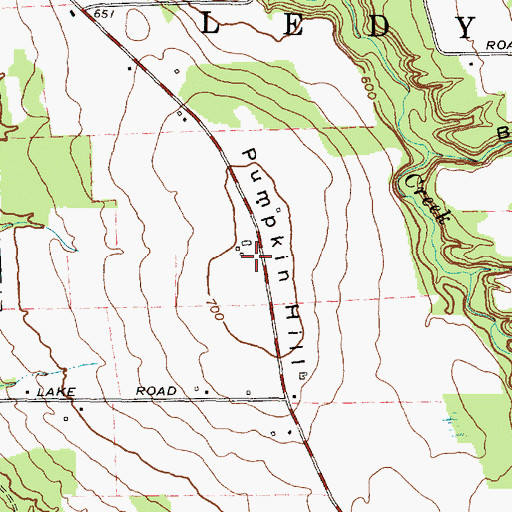 Topographic Map of Pumpkin Hill, NY