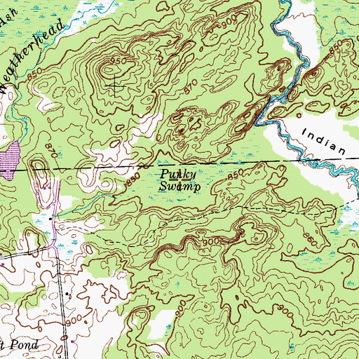 Topographic Map of Punky Swamp, NY