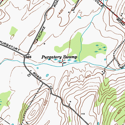 Topographic Map of Purgatory Swamp, NY