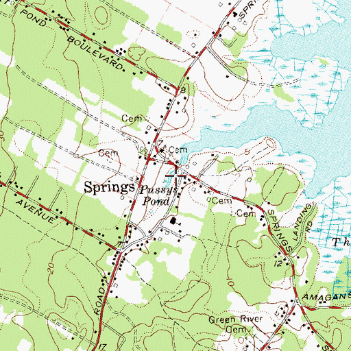 Topographic Map of Pussys Pond, NY