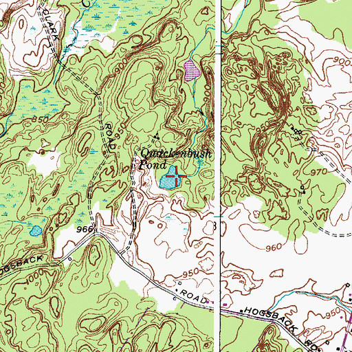 Topographic Map of Quackenbush Pond, NY