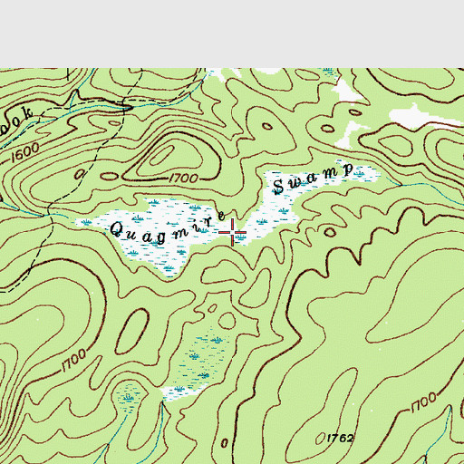 Topographic Map of Quagmire Swamp, NY