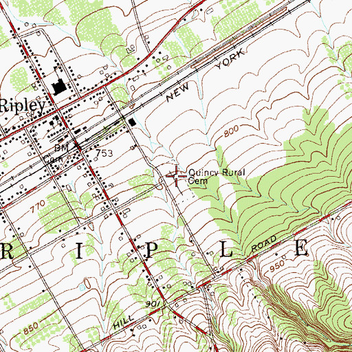 Topographic Map of Quincy Rural Cemetery, NY