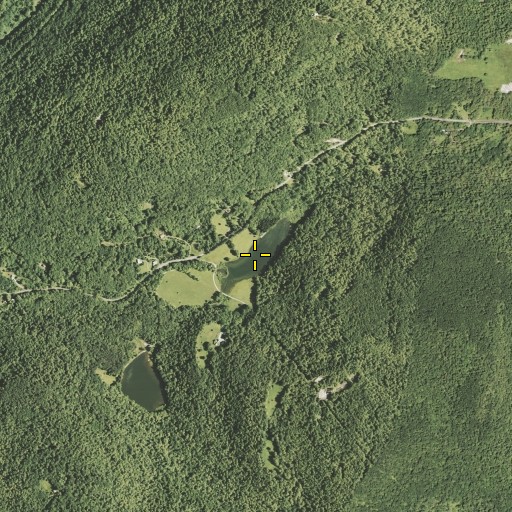 Aerial/Satellite Image of Quinn Lake, NY