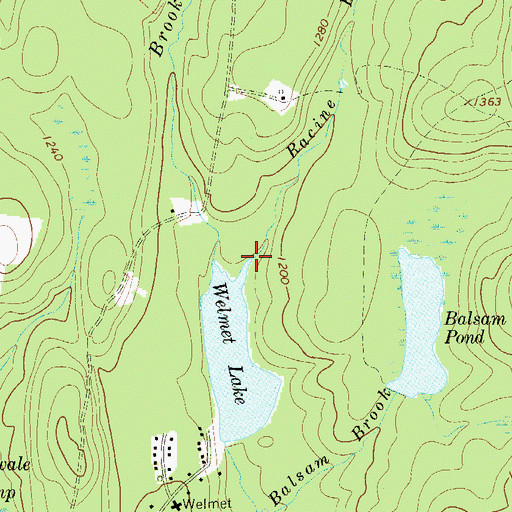 Topographic Map of Racine Brook, NY