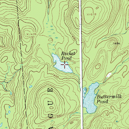 Topographic Map of Racket Pond, NY