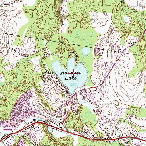 Topographic Map of Racquet Lake, NY