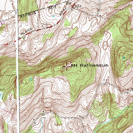 Topographic Map of Mount Rafinesque, NY