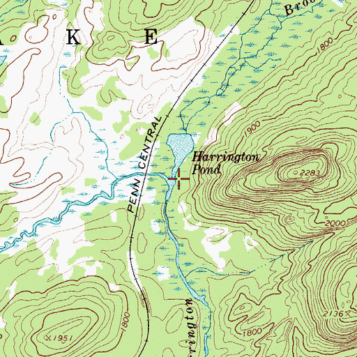Topographic Map of Rainer Brook, NY