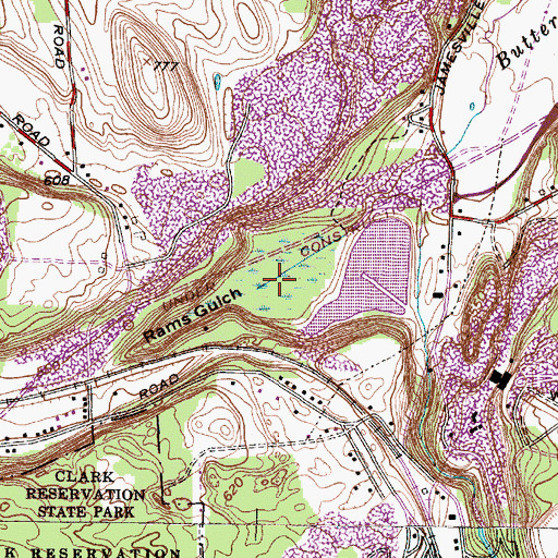 Topographic Map of Rams Gulch, NY